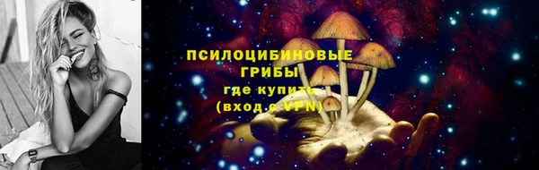 apvp Армянск