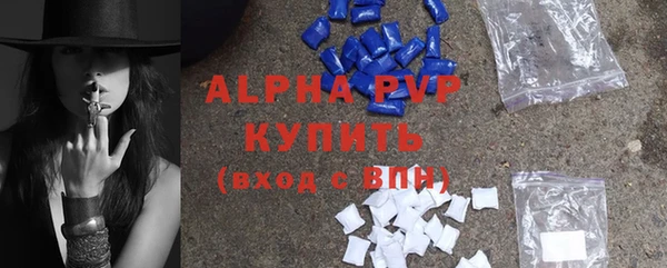 сатива Арсеньев