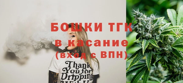 сатива Арсеньев