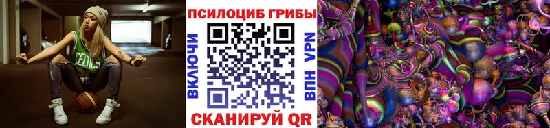 Псилоцибиновые грибы мицелий Бабаево